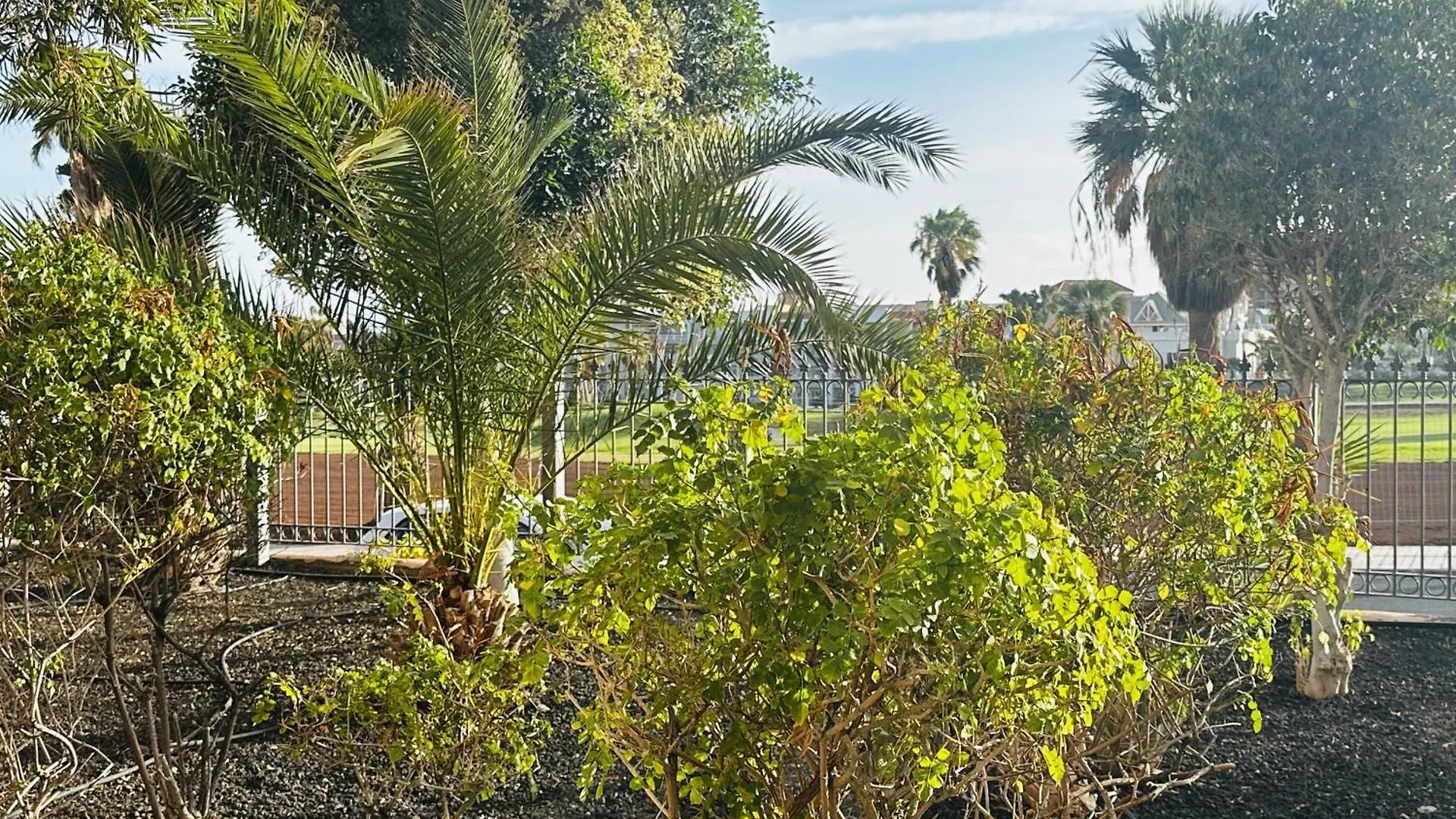 Terraza De La Paz Vista Al Campo De Golf Lägenhet San Miguel de Abona